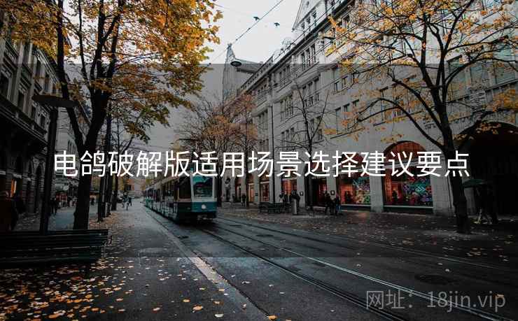 电鸽破解版适用场景选择建议要点  第2张