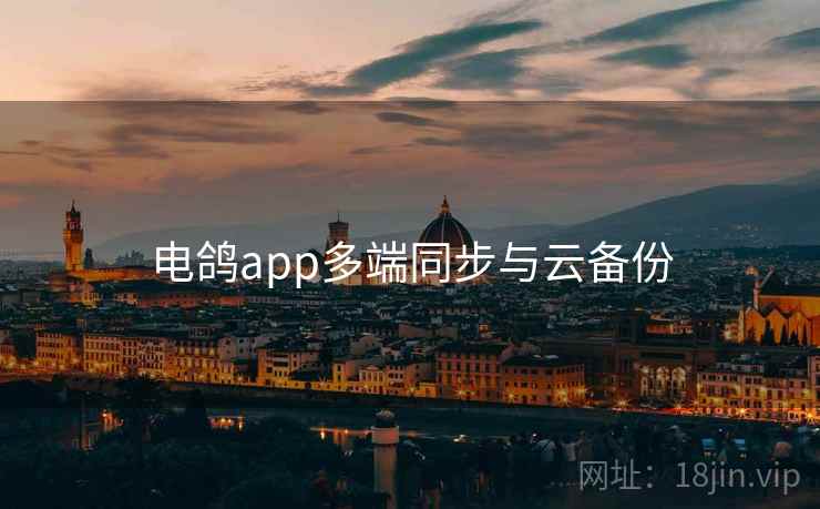 电鸽app多端同步与云备份  第2张