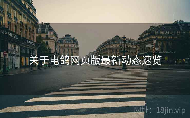 关于电鸽网页版最新动态速览  第1张