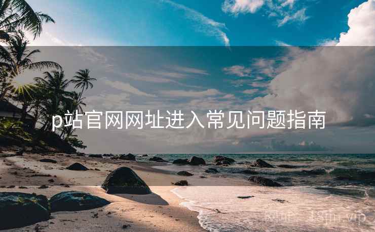 p站官网网址进入常见问题指南  第1张
