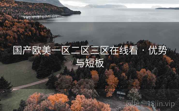 国产欧美一区二区三区在线看 · 优势与短板  第1张