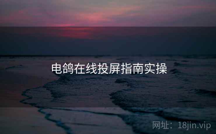 电鸽在线投屏指南实操  第1张