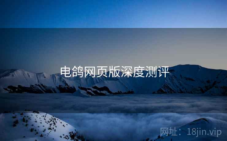 电鸽网页版深度测评  第1张