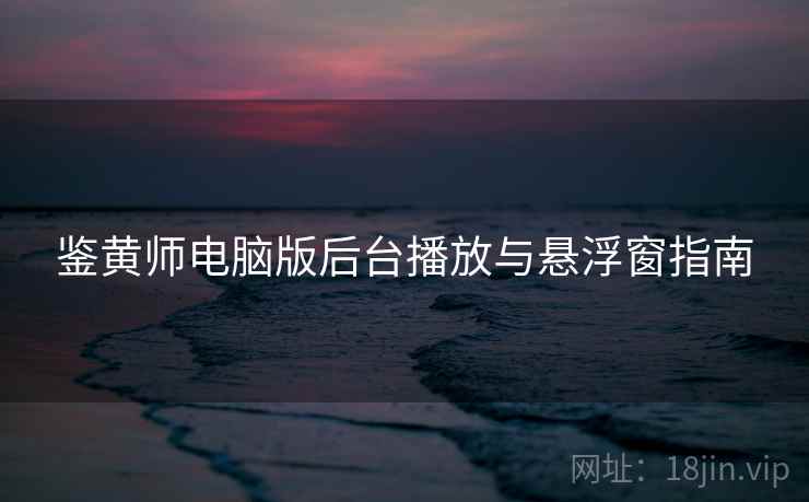 鉴黄师电脑版后台播放与悬浮窗指南  第2张