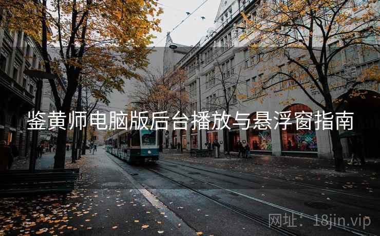 鉴黄师电脑版后台播放与悬浮窗指南  第1张