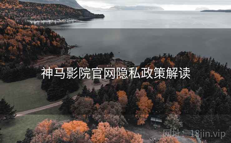 神马影院官网隐私政策解读  第2张