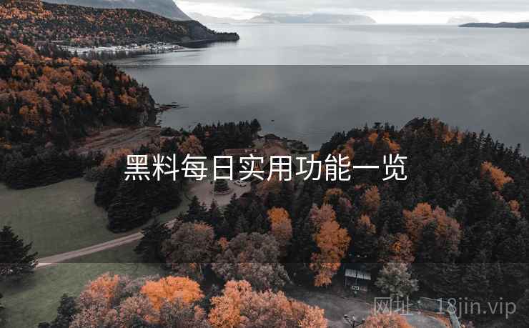 黑料每日实用功能一览  第1张