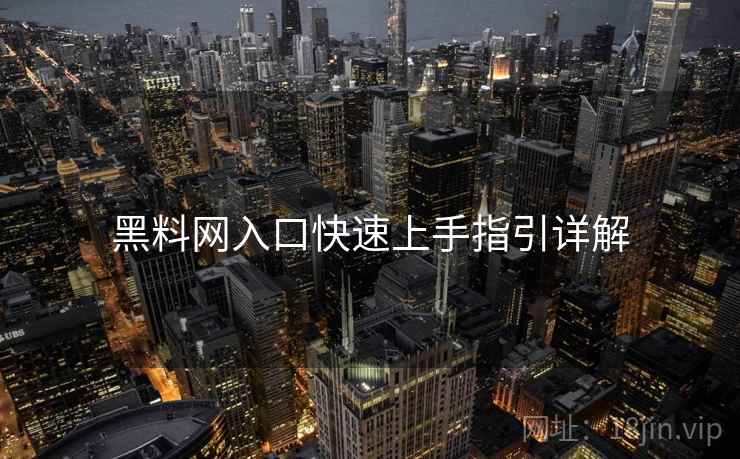 黑料网入口快速上手指引详解  第2张