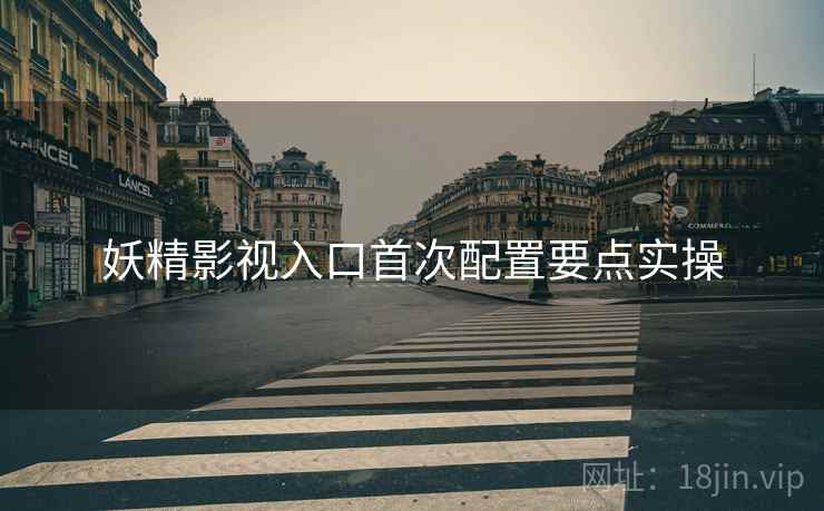 妖精影视入口首次配置要点实操  第1张