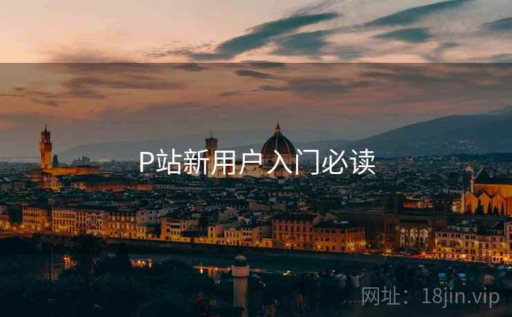 P站新用户入门必读  第1张