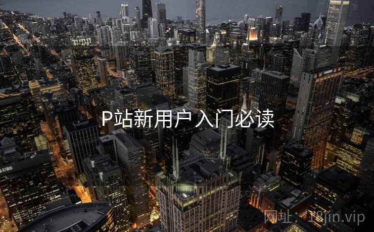 P站新用户入门必读  第2张