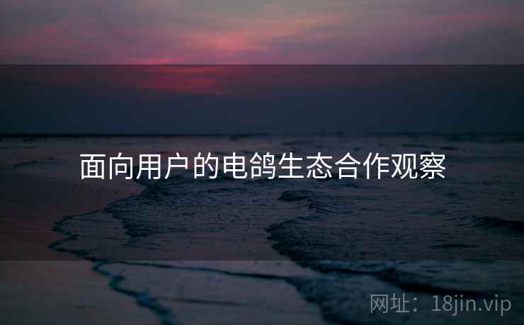 面向用户的电鸽生态合作观察  第1张