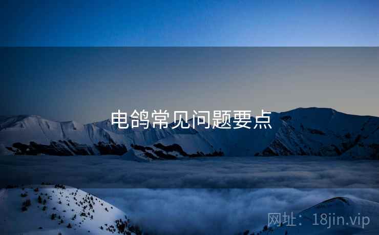 电鸽常见问题要点  第2张