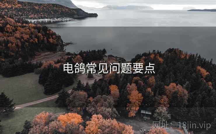 电鸽常见问题要点  第1张
