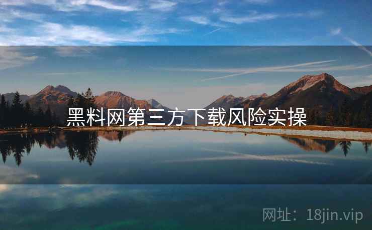 黑料网第三方下载风险实操  第2张