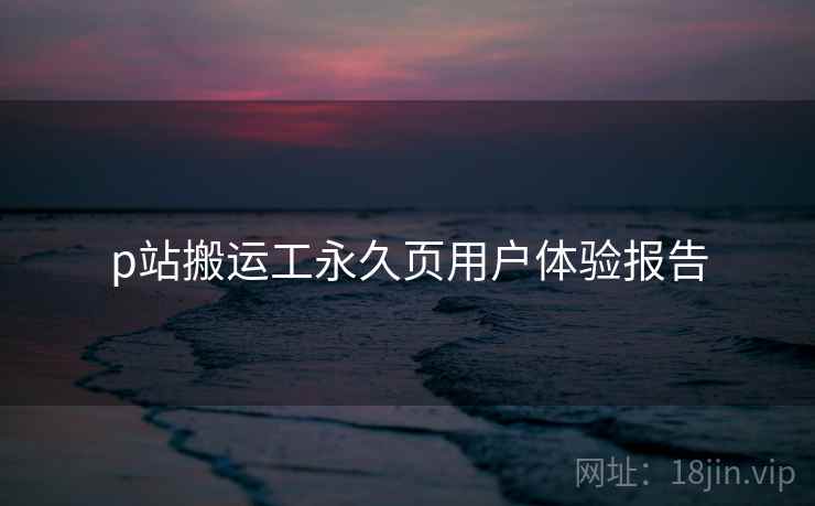 p站搬运工永久页用户体验报告  第1张