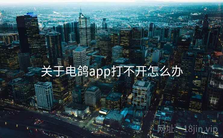 关于电鸽app打不开怎么办  第1张