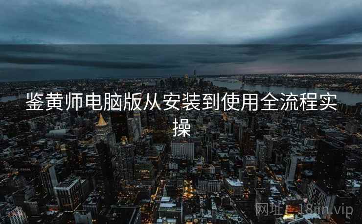 鉴黄师电脑版从安装到使用全流程实操  第2张