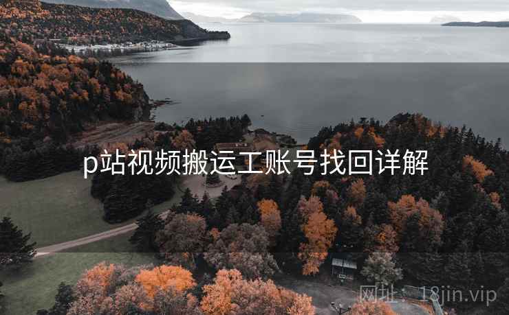 p站视频搬运工账号找回详解  第2张