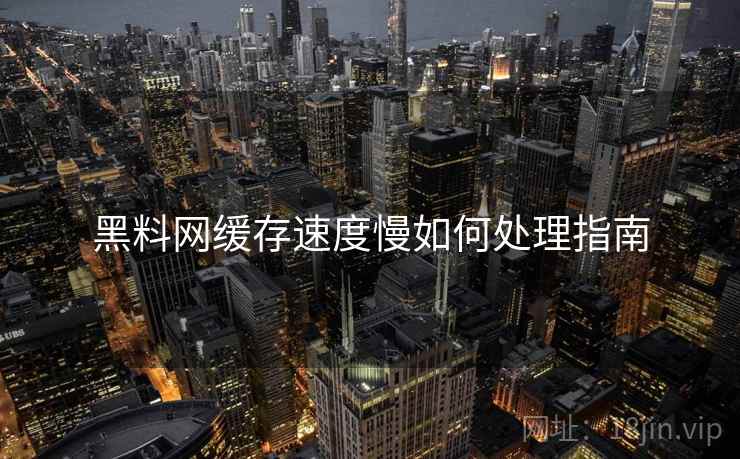 黑料网缓存速度慢如何处理指南  第1张