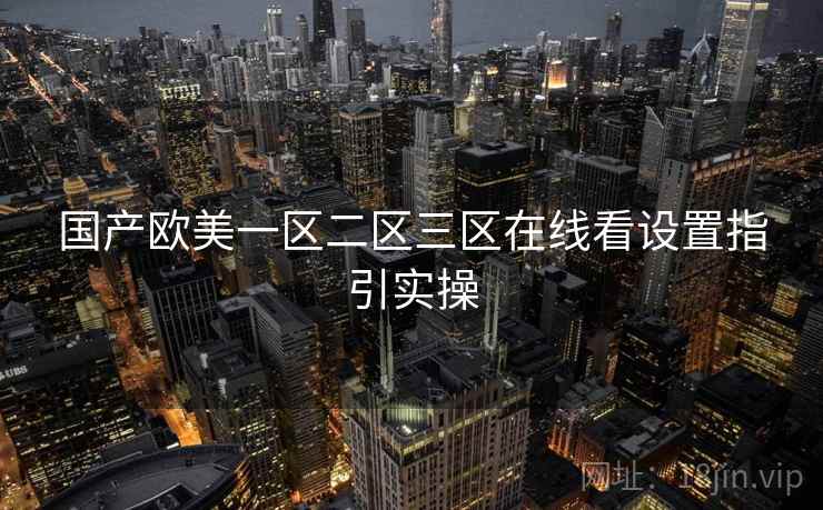 国产欧美一区二区三区在线看设置指引实操  第1张