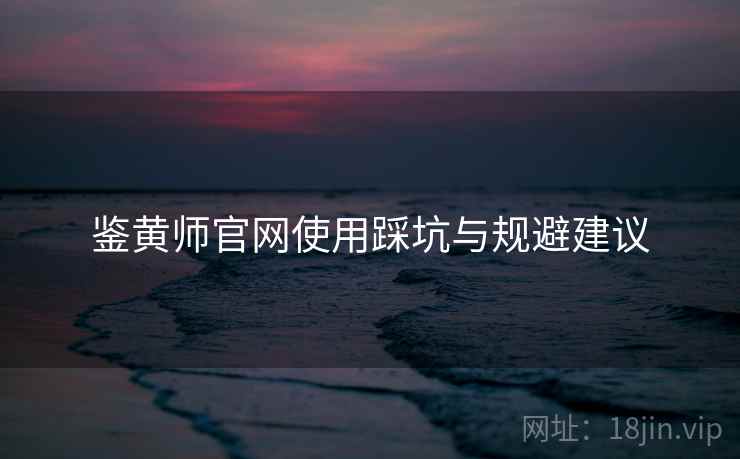 鉴黄师官网使用踩坑与规避建议  第1张