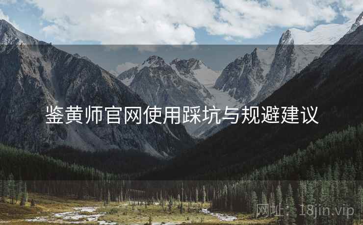 鉴黄师官网使用踩坑与规避建议  第2张