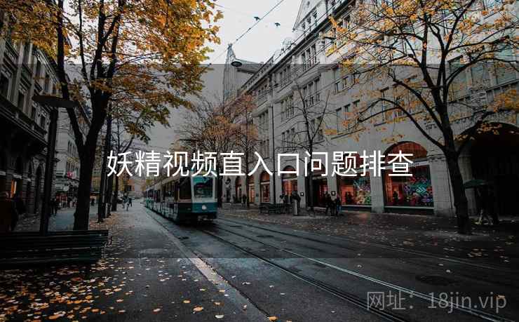 妖精视频直入口问题排查  第2张
